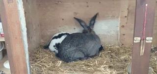 摸一摸就能怀孕？这真的不是都市传说