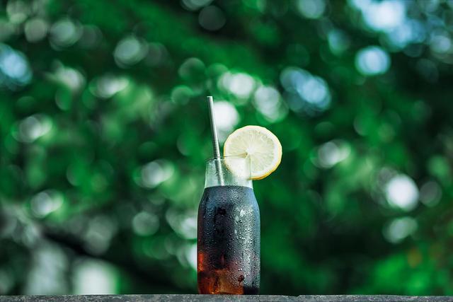 陆游临死前最后一首诗,陆游诗里的蚊子