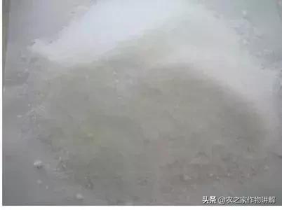 如何鉴别真的磷酸二氢钾,怎样才能辨别磷酸二氢钾的真假