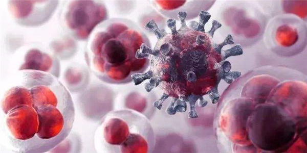 体检中心肿瘤筛查有用吗,体检中心癌细胞筛查有用吗