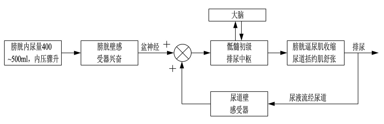 世界五大学习方法之跨界学习法（思维网之正反馈）