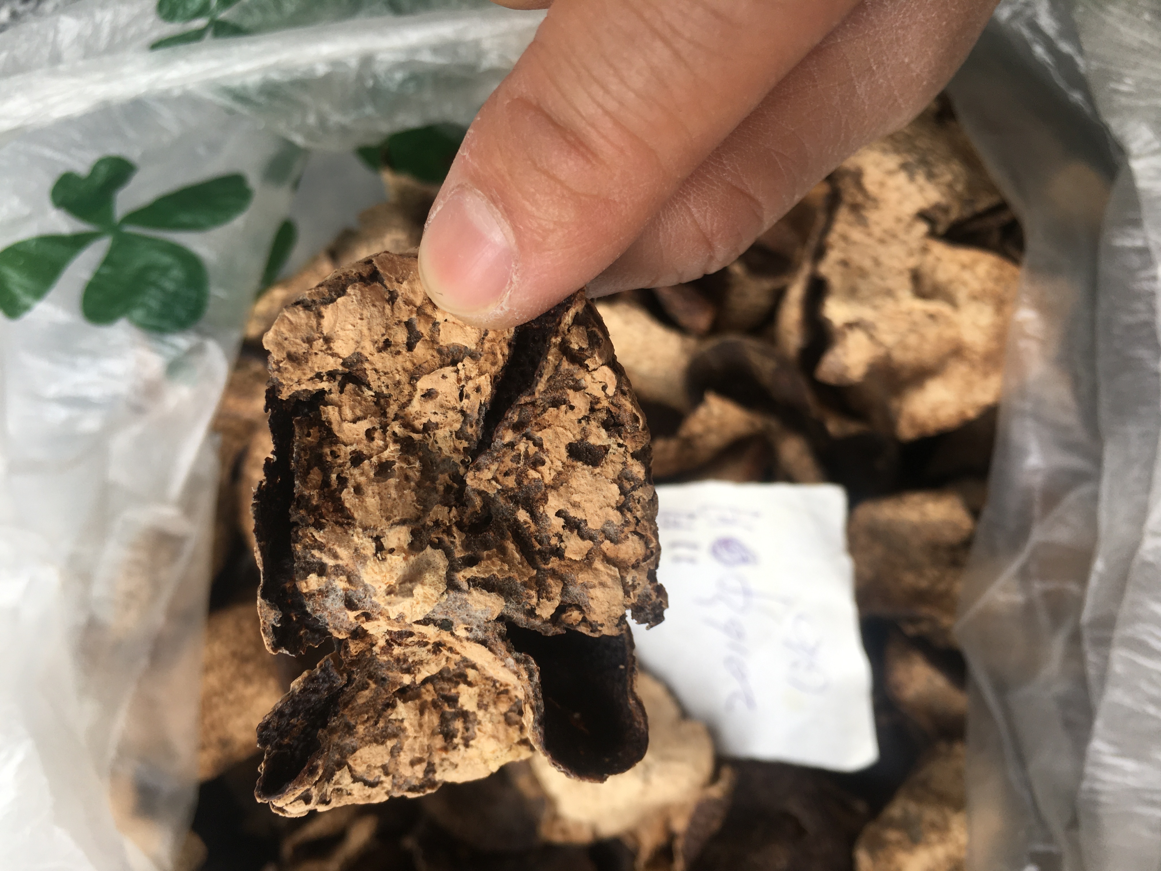 陈皮怎样放不会被虫蛀,陈皮如何防止烧皮