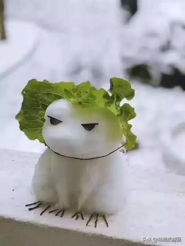 中建中铁海外哪个项目最好,中铁中建的海外公司怎样