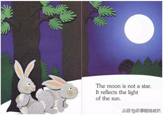 i am a star 英文绘本朗读 (i am a bunny绘本阅读中文翻译)