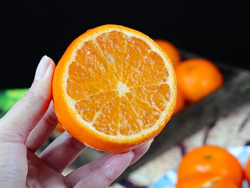 沃柑品种怎么样,沃柑种植前景怎么样了