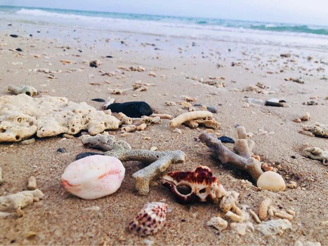 成都到涠洲岛旅游攻略自由行,成都去北海涠洲岛旅游攻略