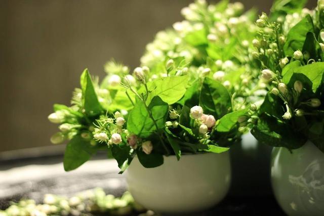 可以泡茶的紫色花有哪些,可以泡茶又香的花