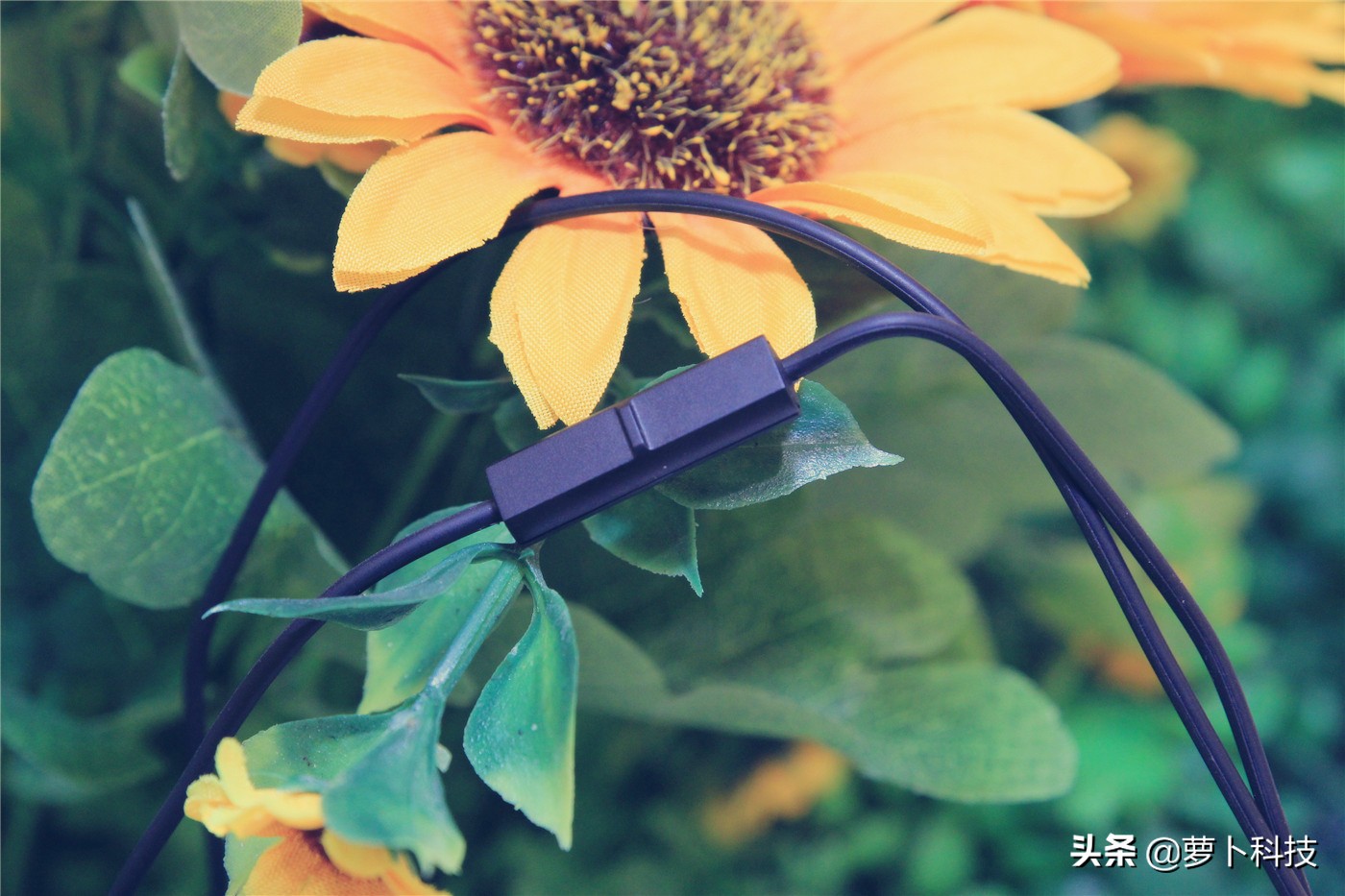 低音惊艳中高频惊喜：高解析耳机松下RP-HDE10试听体验