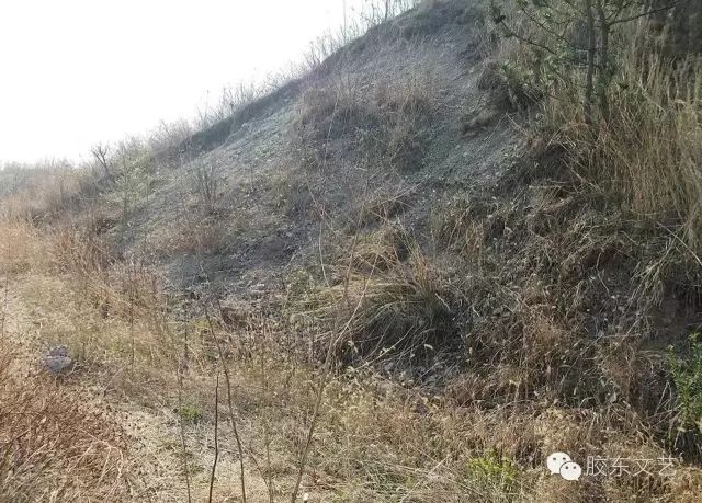 莱阳市御龙湾地址,莱阳御龙湾哪年开始建