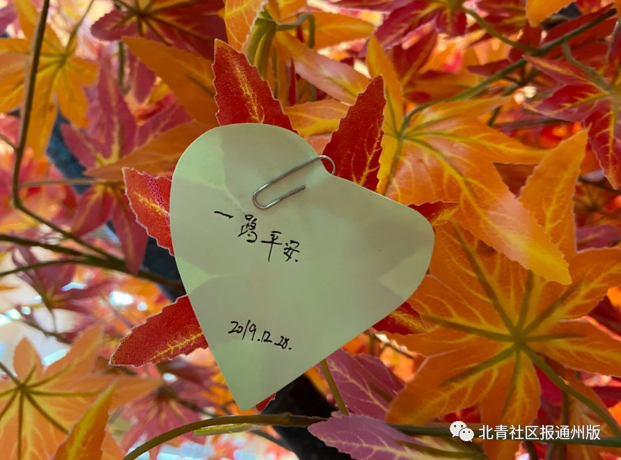 快打卡！副中心两条新地铁线开跑，通州梨园到东三环双井仅40分钟