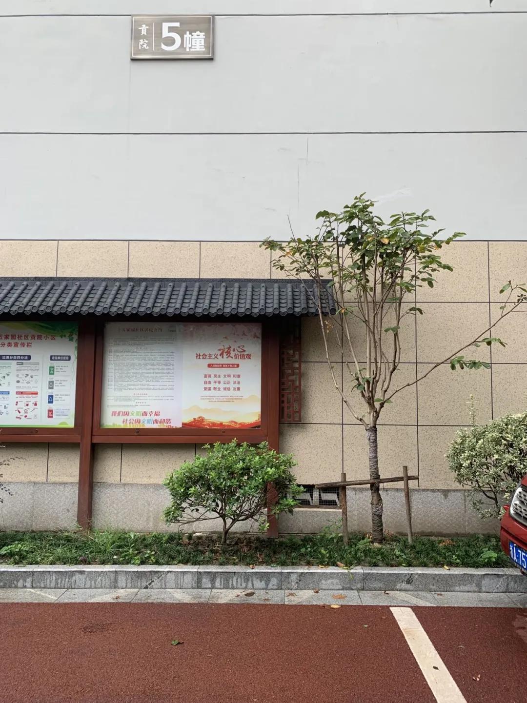 丝绸城与体育场板块，好风送我上青云！|房叔说No.315