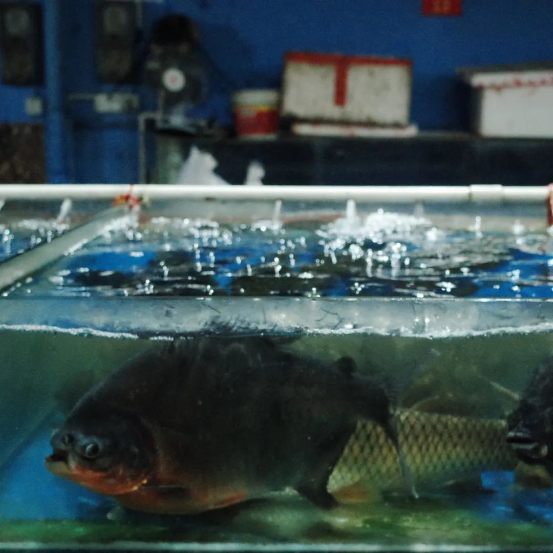 南宁拿货最便宜的市场,南宁最便宜的东西批发市场