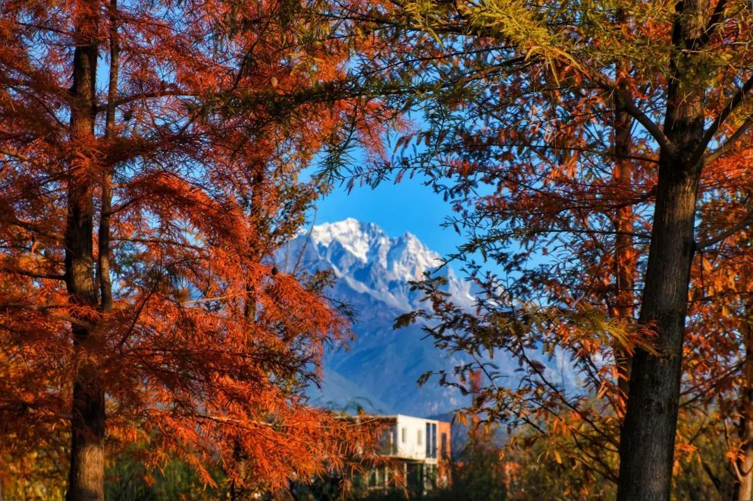 25张照片丽江,20张图片带你看世界