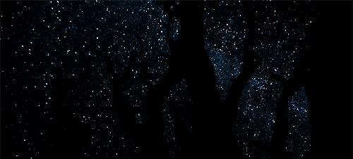 鑲犻亾閲岀殑鎺㈢储,鑲犻亾鍐呯殑涓栫晫