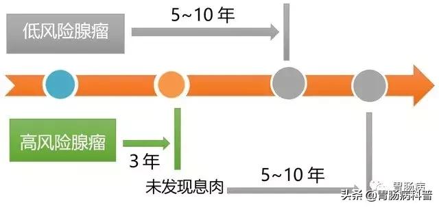 切肠息肉有风险吗,肠息肉为什么大了不能直接切