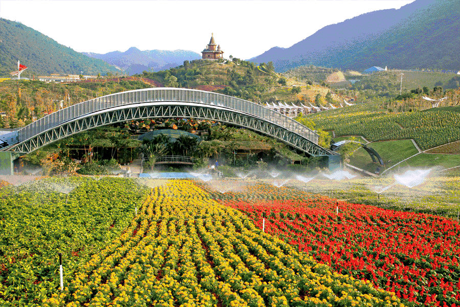 深圳东部华侨城酒店门票套票价格,华侨城799元套餐