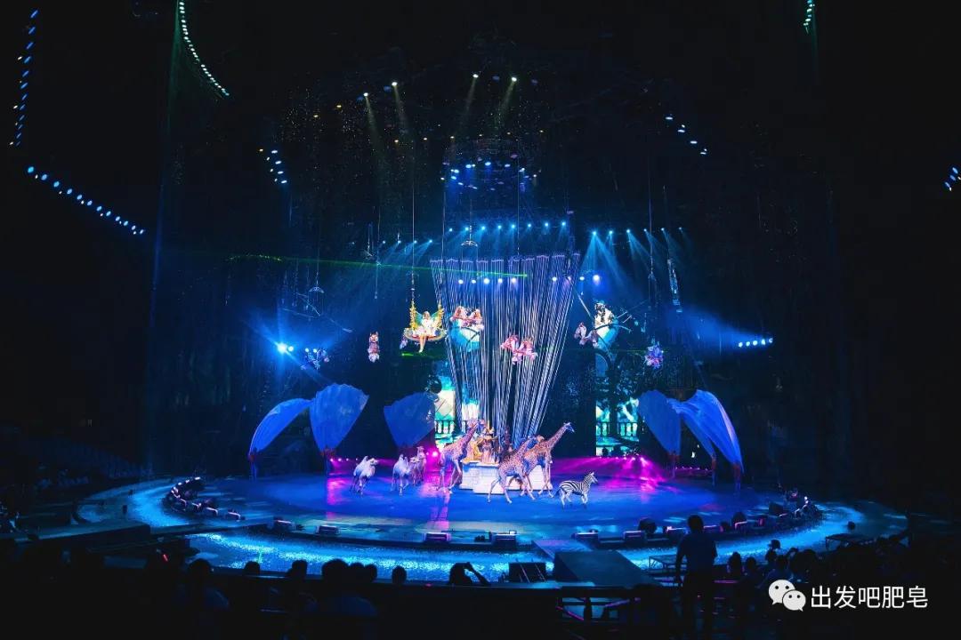 长隆水上乐园旅游路线攻略,长隆旅游攻略全过程