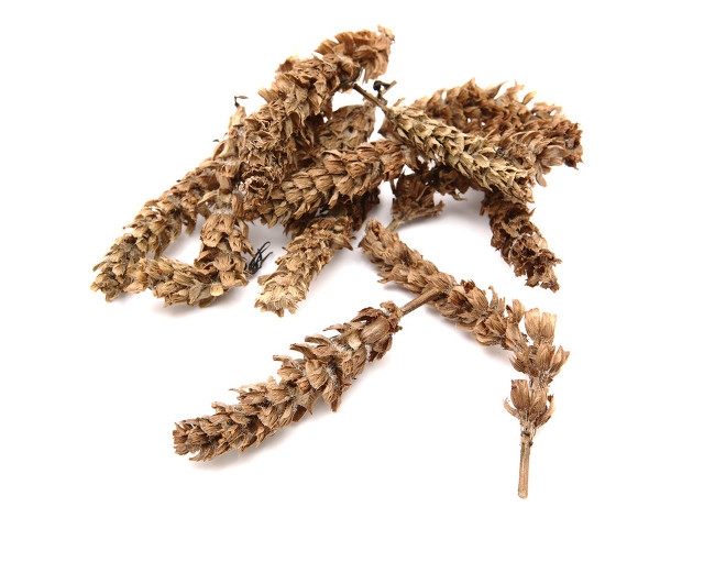 看叶天士如何治疗肝阳化风（肝风）四