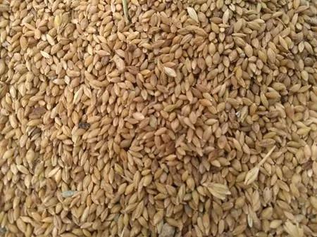 爱心助农米面粮油推销宣传,爱心助农蔬菜批发