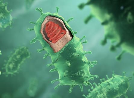 灭绝一种动物对地球有什么后果,最可怕的病毒杀死了地球上多少