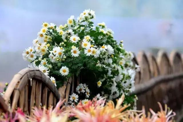 二十七首诗词二十七种人生境界,古诗词中的三种人生境界