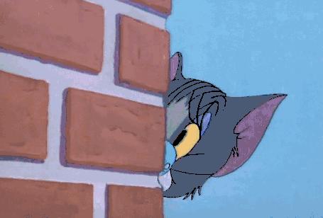 piara睫毛膏真实测评红黑榜,网红爆款睫毛膏防水不晕染