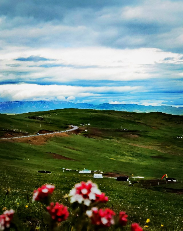 一条绝美草原之路,一条绝美的自驾公路