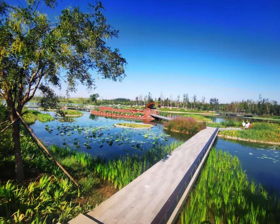 京郊赏秋指南,北京朝阳区赏秋