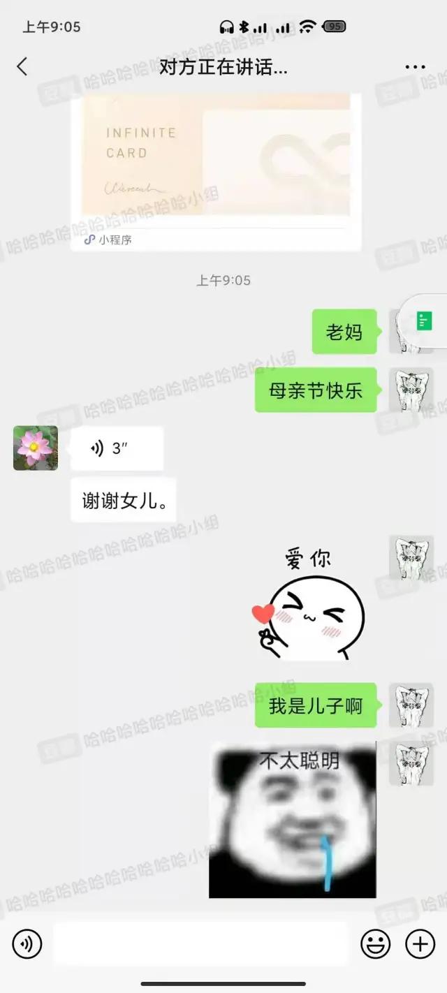哈哈哈哈哈我笑到我家的狗偷开邻居家的车送我去精神病院