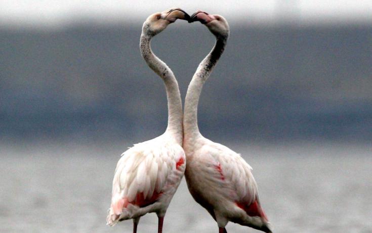 上海小企业招聘最新信息,上海小工厂最新招聘信息