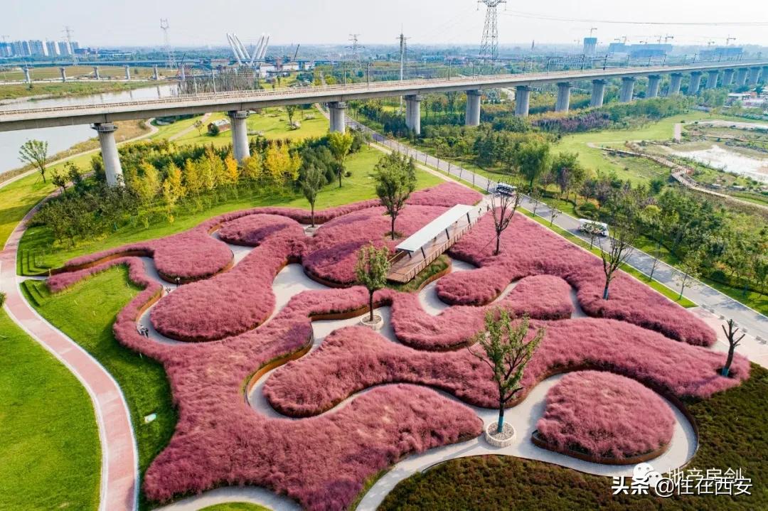 西咸新区沣西,重识