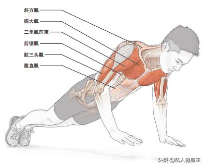 教你13分钟学会俯卧撑发力技巧,新手能做10个俯卧撑如何锻炼臂力