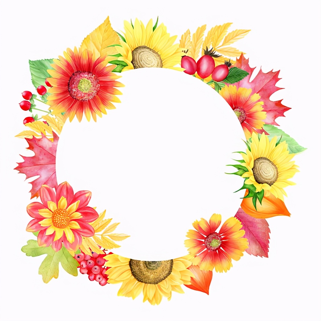 花花边框图片大全简单又漂亮,花花边框视频素材