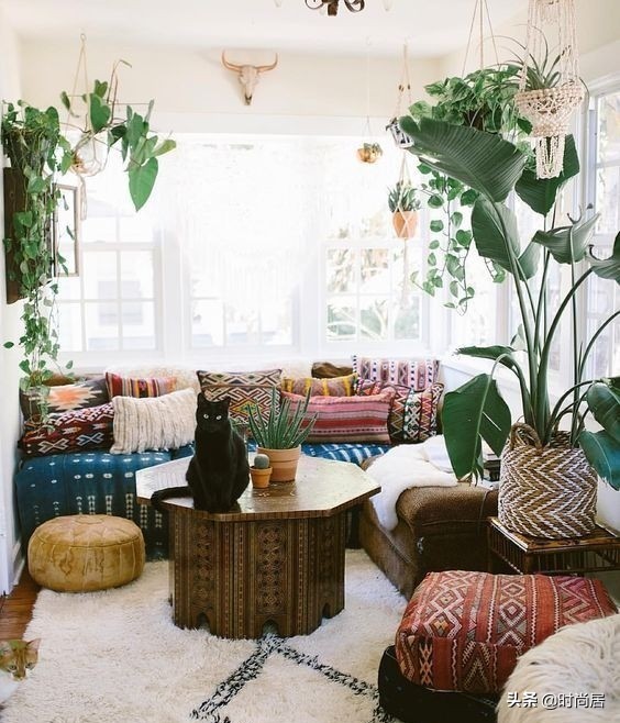 如何营造一个热带雨林花园,室内花园改造房间