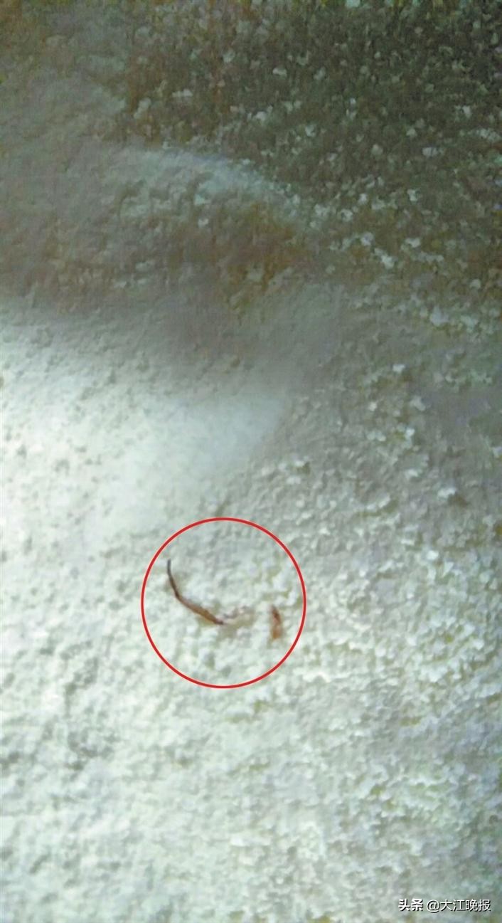 事发欧尚超市花津店，爱他美白金版奶粉惊现“虫子腿”？