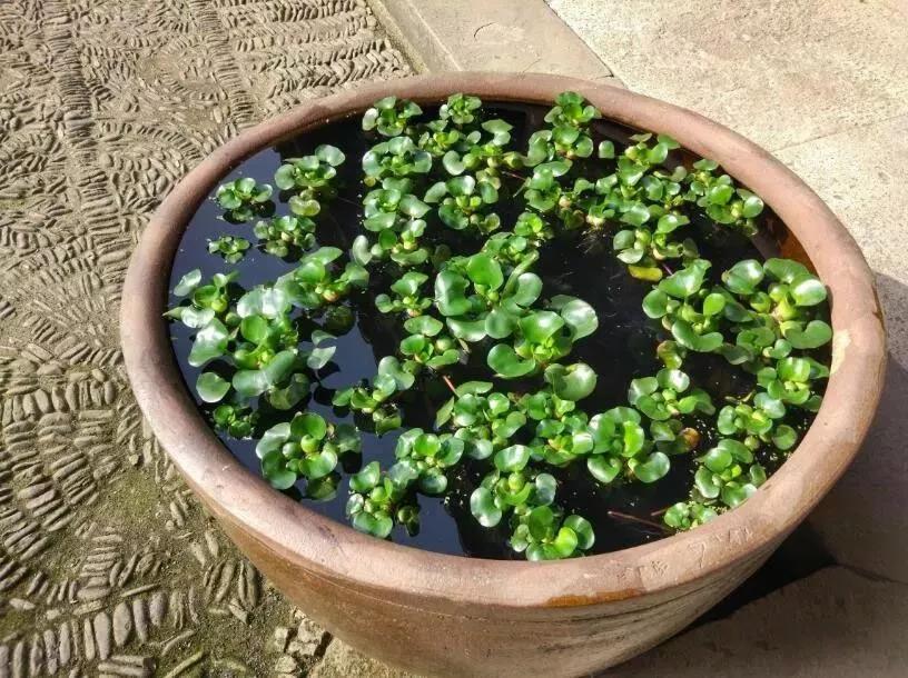 勇敢者的天堂—雷峰漂流，游张思古村一个可以托梦的故乡