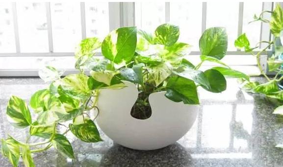 如何解决家庭清洁问题,家庭主妇打扫卫生的难题