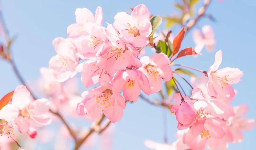 三亚和厦门哪一个更值得去旅游,三亚和厦门哪个地方值得去