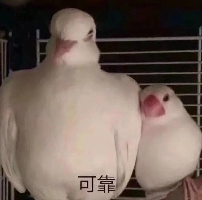 天下3回避流英雄榜,天下3点化属性用什么提高