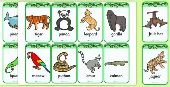 0-3岁英语启蒙游戏,适合英语启蒙幼儿课前小游戏