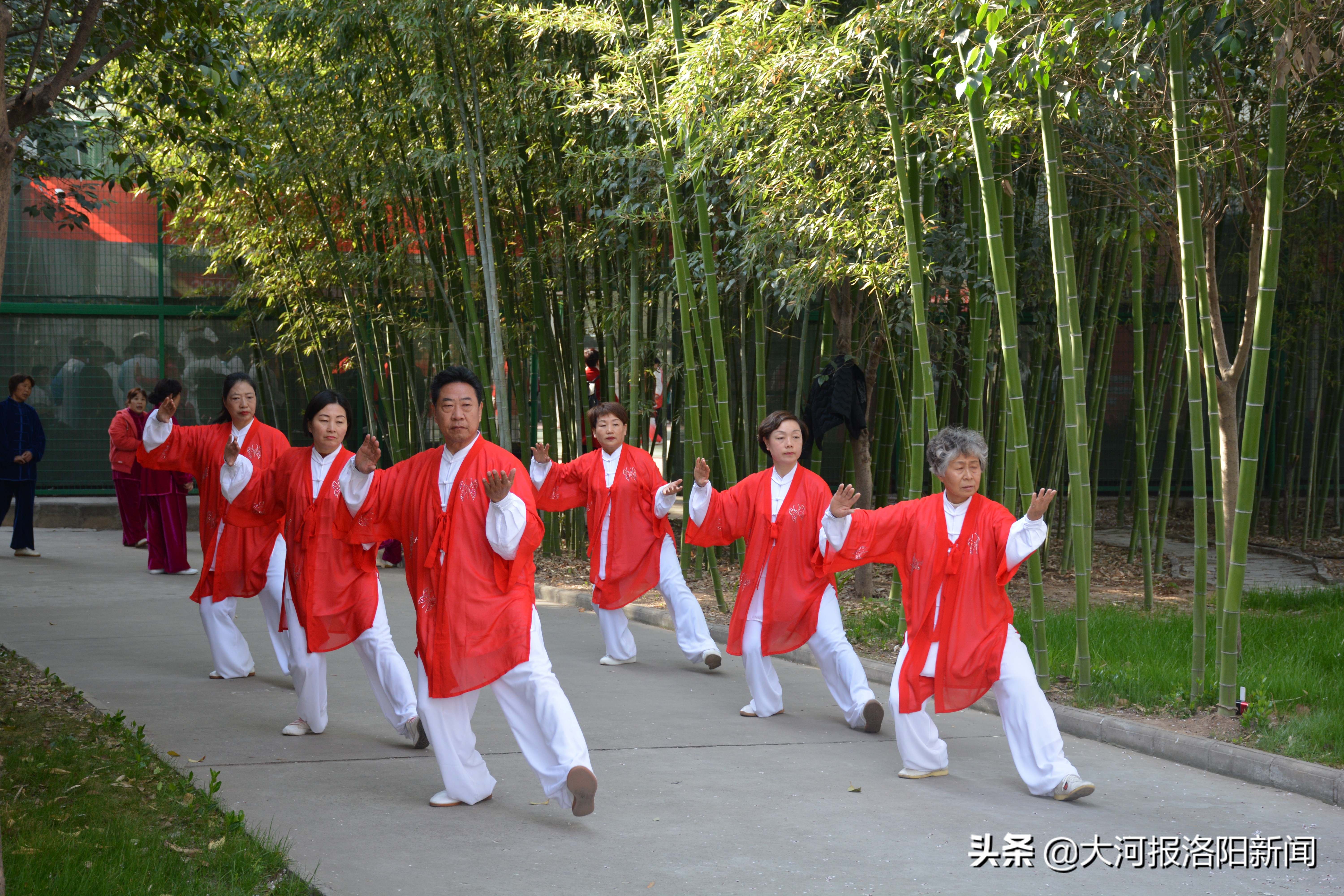 洛阳适合带长辈旅游的地方,洛阳自家一日游最佳去处