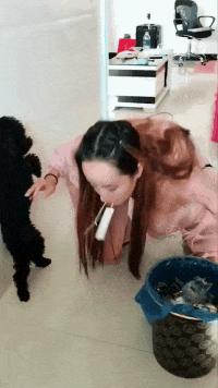 搞笑GIF段子：.我的小萝莉呢？你还我的小萝莉