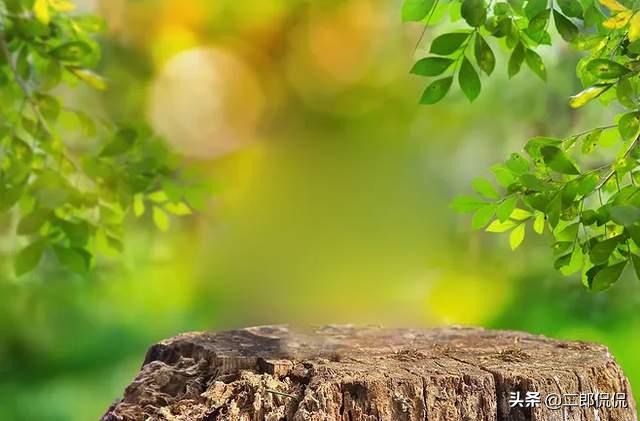 辟谷的奇效治疗97种疾病,辟谷治愈癌症真实案例