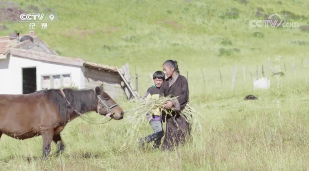 奔跑吧少年励志故事,致敬奋战在脱贫攻坚一线的青年人