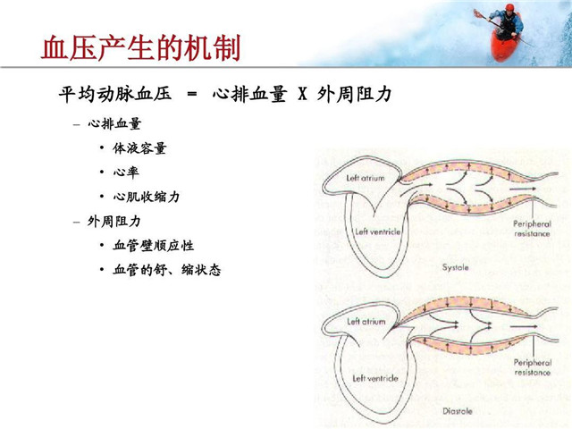 紧急情况下高血压应该如何降压,高血压低压高的原因及治疗方法