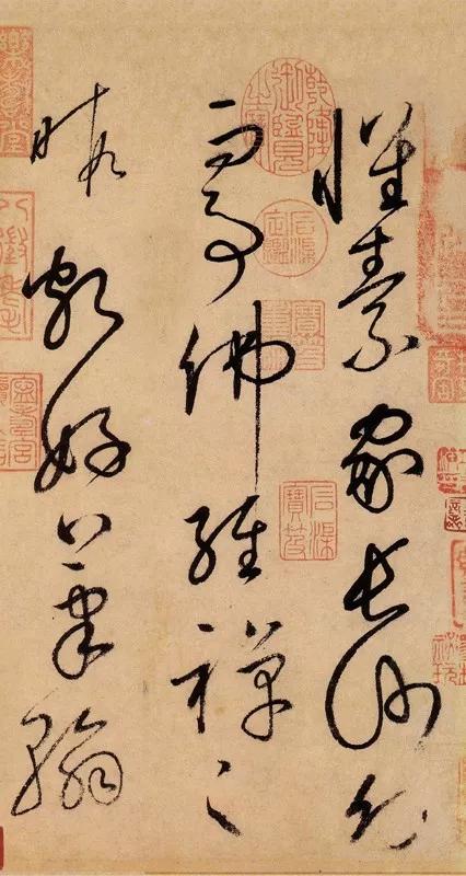 毛*东泽**晚年最爱看的字帖墨迹，有哪些？