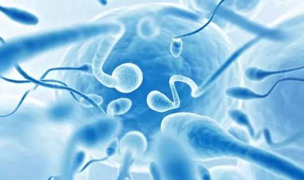 精子的控诉：我是怎么倒在路上的！备孕未果的夫妻应该看看