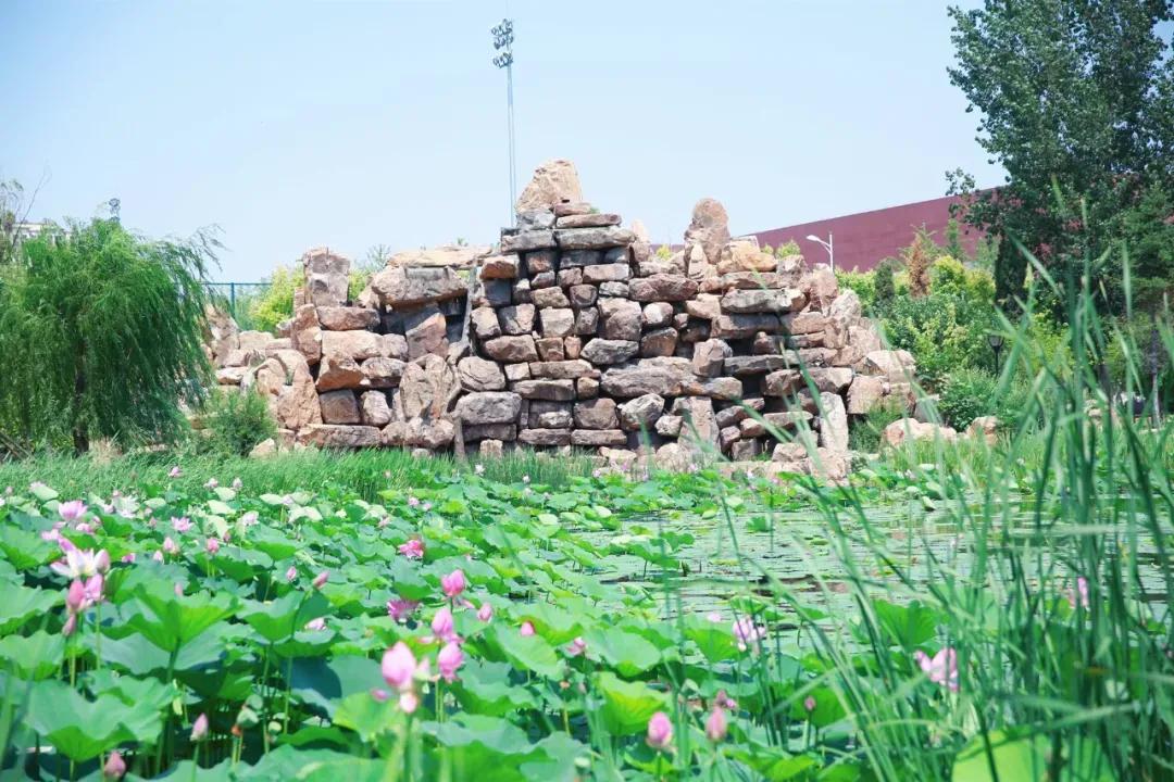 辽宁中医药大学杏林学院规模,辽宁中医学院杏林学院的排名