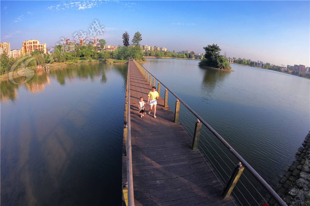 来了成都到底有多美,没想到双流也有如此好的景色了