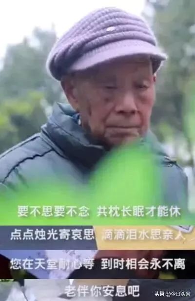被偷*拍偷**下的20组画面：2019一整年的温暖，全都在这里了